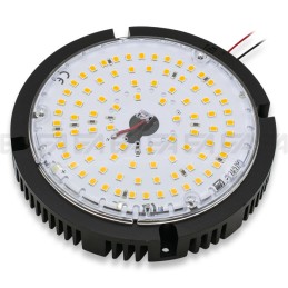LED module MT355 cc