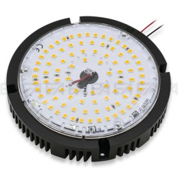 Modulo LED MT355 cc