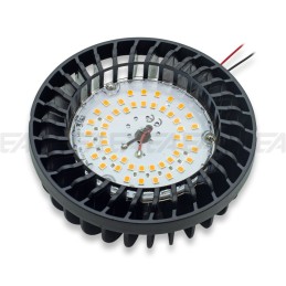 LED module AR1 cv (CL386)