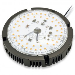 110~120Vac PCB LED module MT193