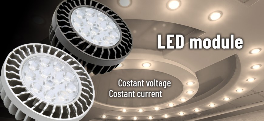 Constant current and constant voltage LED module